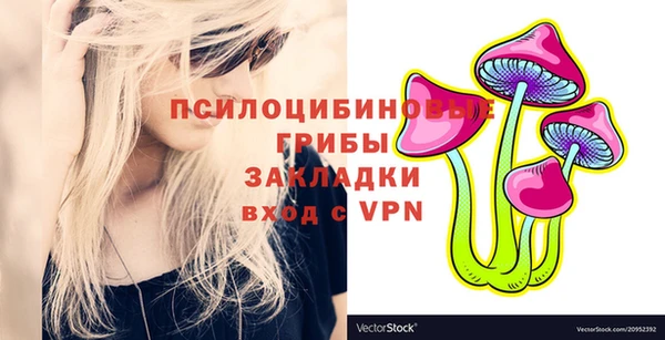 прущие крисы Белокуриха