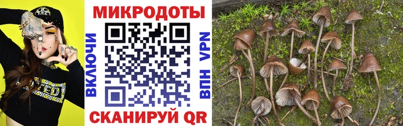 Галлюциногенные грибы Magic Shrooms  купить наркоту  Велиж 